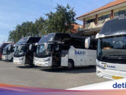 Naik Damri Didalam Ciputat Bisa Langsung Hingga 8 Kota Ini