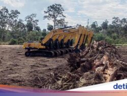 Ada Haji Isam Hingga Proyek Cetak Sawah 1 Juta Hektare, Ini Perannya