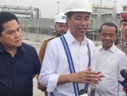 Jokowi Bocorin RI Mau Nambah 10% Saham Freeport, Ini Infonya