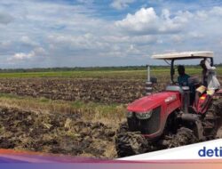 Mengintip Proyek Lumbung Padi Ke Merauke, Asa RI Gapai Swasembada Kelaparan Global