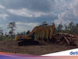 Misi RI Swasembada Ketahanan Pangan Lewat Cetak Sawah Ke Tanah Merauke