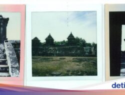 Berapa Cm Ukuran Foto Polaroid? Ini Standar Dimensinya