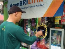 AgenBRILink Di Ditengah Kebun Kelapa Sawit Dekatkan Layanan Perbankan