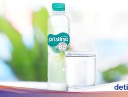 Siapa Pemilik Pristine? Ternyata Ada Perusahaan Raksasa Ini