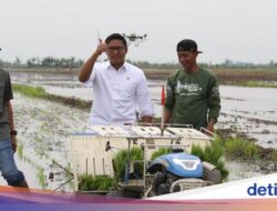 Wamentan Tegaskan Janji Ri Prabowo soal Pupuk Langsung Ke Petani