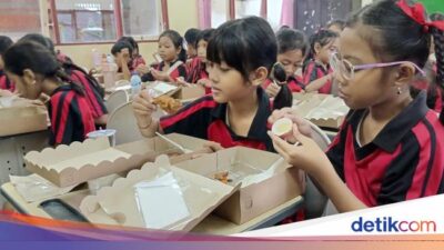 Tentang Makan Bergizi Gratis, Dana Dipotong Di Sebab Itu Rp 10.000/Anak