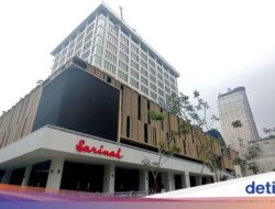 Bos Sarinah Ngaku Banyak Mitra Usaha Mikro Kecil Khawatir PPN Naik Bersama Sebab Itu 12%