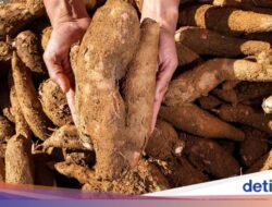Produksi Turun, Hasil Panen Tak Laku