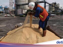 Begini Respons Mentan soal Ide Pembelian Barang Bersama Luar Negeri Gula 200 Ribu Ton