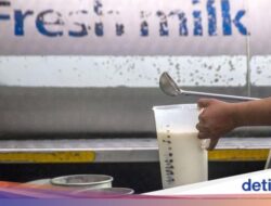 Koperasi Salurkan 2.348 Liter Susu buat Makan Bergizi Gratis