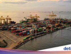 Arus Peti Kemas Naik, Pelindo Tambah 2 Alat Bongkar Muat Ke TPK Semarang