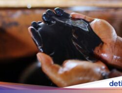 China Ancam Korsel Jangan Produk Ekspor Produk Tanah Jarang Hingga AS