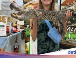 Waspada! Mata Bisa Tertipu Foto Ini, Lihat Dua Kali
