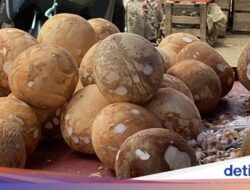 Pengusaha Ngadu Kelapa Langka, Ini Jawaban Pembantu Ri Prabowo