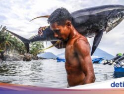 Trump Patok Tarif Pembelian Barang Bersama Luar Negeri Tinggi, RI Kirim Tuna Hingga China