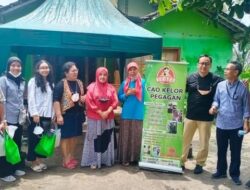 Pakai KUR BRI, Wanita Ini Sukses Sulap Kelor Dari Sebab Itu Aneka Olahan Ketahanan Pangan