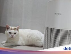 Review Xiaomi Smart Pet Care Air Purifier: Majikan Sehat, Anabul Tenteram
