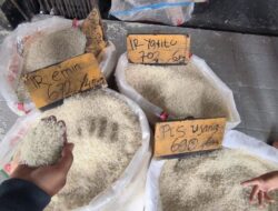 Anomali Harga Beras Bikin Boncos Rp99 T, Pemerintah Ultimatum Pelaku Usaha 2 Minggu