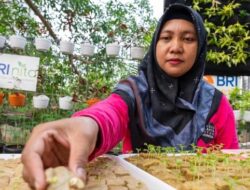 Peran Nyata BRI Diakui Untuk Urban Farming dan Pemberdayaan Perempuan