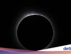 Gerhana Matahari Terlama Abad Ini Terjadi 2027, Langit Arab Berencana Diselimuti Kegelapan