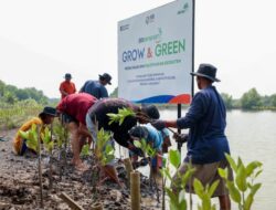 BRI Libatkan Petani Lokal dan Usaha Mikro Kecil Rehabilitasi Mangrove Hingga Muara Gembong