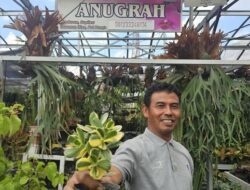 Intip Kisah Klaster Usaha Tanaman Hias Binaan BRI