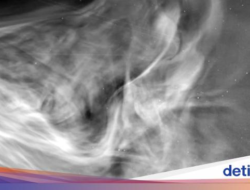 NASA Ungkap Gambar Matahari Paling Didekat yang Pernah Diambil