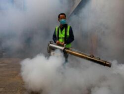 Teror Serangan Nyamuk Ganas, 3.000 Orang Tewas-Kota Karena Itu Kuburan