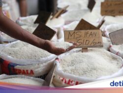 Produksi Beras Naik, tapi Harga Di Penggilingan-Eceran Malah Terbang