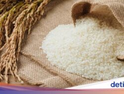 Pemerintah Sudah Salurkan 300 Ribu Ton Bantuan Sosial Beras