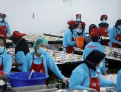 Pengusaha Patungan Bangun 270 Dapur MBG, Habiskan Dana Rp540 Miliar