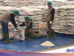 Bulog Dapat Suntikan Modal Rp 22,7 T Di 2026, Target Serap 3 Juta Ton Beras