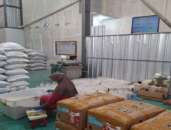 Petani Di Magelang, Sukses Kembangkan Digital Farming
