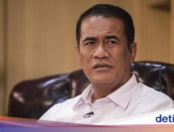 Pemerintah Pede Bisa Swasembada Ketahanan Pangan Tahun Ini