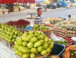 Manfaatkan KUR BRI, Pedagang Nanas Ini Sukses Kembangkan Produk Olahan