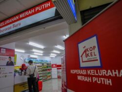 Danantara Mau Siapkan Usaha Model Buat Koperasi Merah Putih