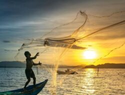 Nelayan Cirebon Mancing Ke Laut Jawa, Nyangkut Harta Karun Rp720 M