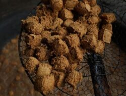 Pria Ini Cuan Banyak Bersama Usaha, Modalnya Sayang Istri