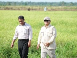 Belajar Bersama Soeharto, Setahun Prabowo Berhasil Swasembada Beras