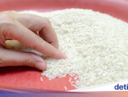 Begini Nasib Ratusan Ton Beras Perdagangan Masuk Negeri Ilegal yang Masuk Di RI via Sabang