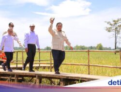 Di KTT APEC, Prabowo Ungkap RI Capai Produksi Beras Tertinggi Untuk Sejarah