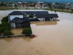 Hutan Digunduli Manusia, Kota Berubah Didalam Sebab Itu Lautan-Semua Rata Tanah