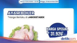 Obral Ayam Broiler Murah, Cuma Hingga Transmart Full Day Sale