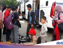 Mudik Gratis Digelar buat 33 Ribu Penumpang, Cek Cara Daftarnya!