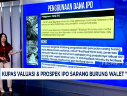 Kupas Valuasi & Prospek IPO Sarang Burung Walet RLCO