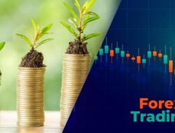 Mana yang Bikin Uang Tumbuh?