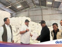 Bulog Tambah Stok Beras 3 Kali Lipat Di Aceh, Sumatera Utara, Sumbar