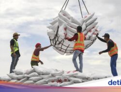 Keran Produk Impor Ditutup, Menten Kebut Swasembada Gula Tahun Di