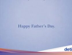 Kocak dan Out of the Box, Cuy!