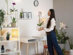 6 Cara Dekorasi Tempattinggal Karena Itu Estetik Tanpa Biaya Besar